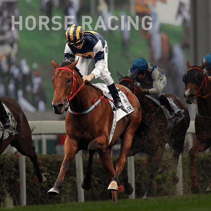 Horse Racing