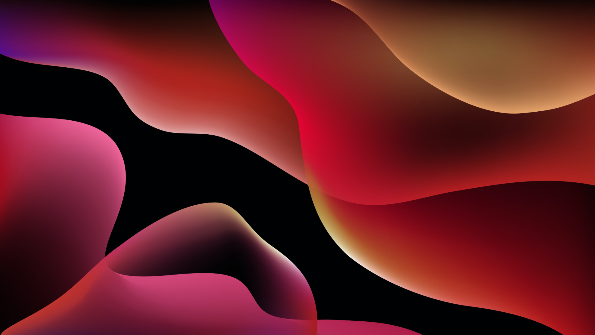 Inclusivity, the new accessibility, is a norm and not a novelty